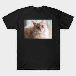 Hobbes T-Shirt